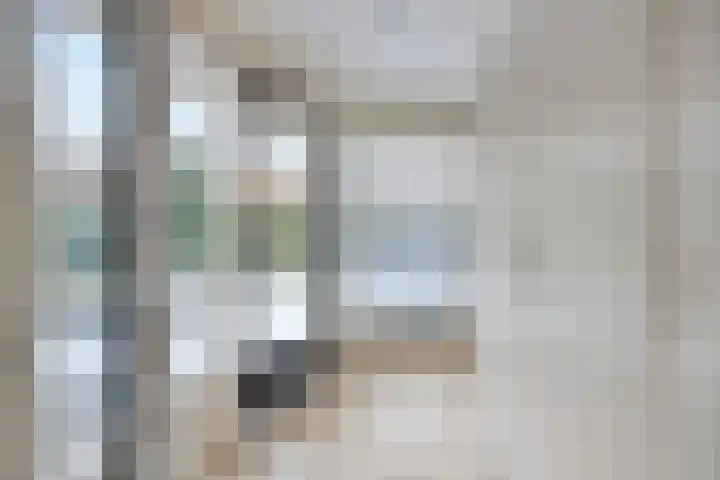 Sprookjesbosch 77 Eindhoven thumbnail 18