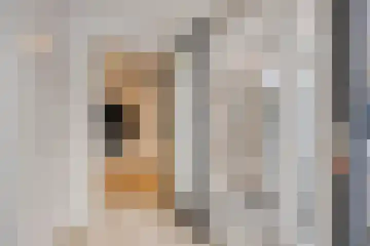Sprookjesbosch 77 Eindhoven thumbnail 19