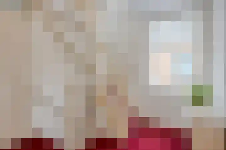 Sprookjesbosch 77 Eindhoven thumbnail 20