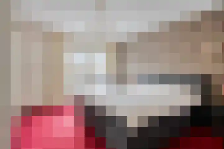 Sprookjesbosch 77 Eindhoven thumbnail 21