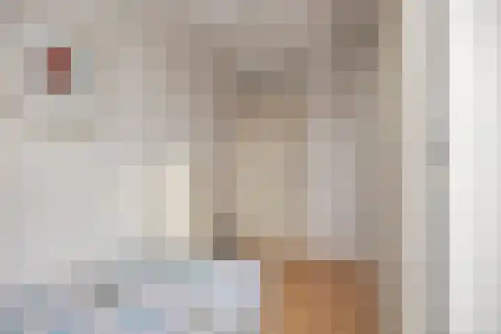 Sprookjesbosch 77 Eindhoven thumbnail 24