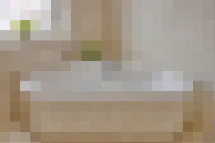 Sprookjesbosch 77 Eindhoven thumbnail 29