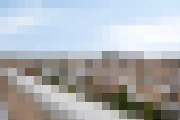Sprookjesbosch 77 Eindhoven thumbnail 35