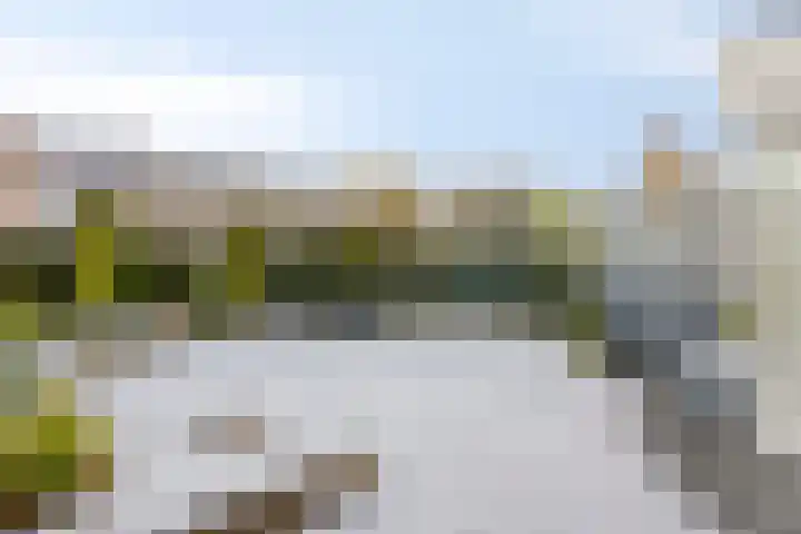 Sprookjesbosch 77 Eindhoven thumbnail 38