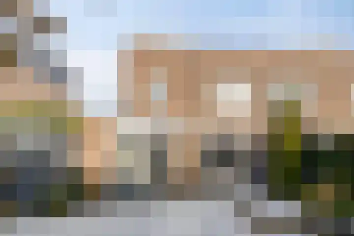 Sprookjesbosch 77 Eindhoven thumbnail 4