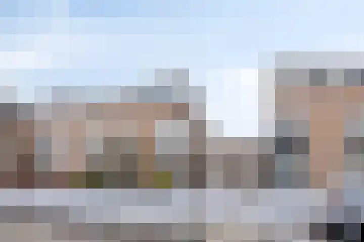 Sprookjesbosch 77 Eindhoven thumbnail 40