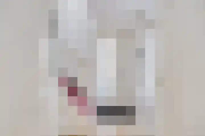 Sprookjesbosch 77 Eindhoven thumbnail 5
