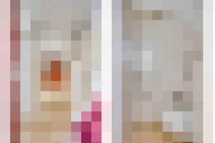 Sprookjesbosch 77 Eindhoven thumbnail 6