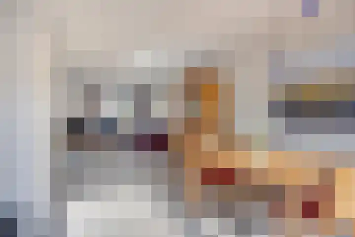 Sprookjesbosch 91 Eindhoven thumbnail 11