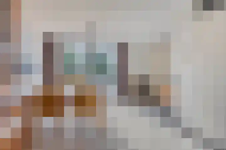 Sprookjesbosch 91 Eindhoven thumbnail 12
