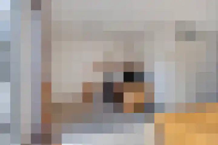 Sprookjesbosch 91 Eindhoven thumbnail 13