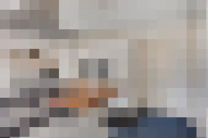 Sprookjesbosch 91 Eindhoven thumbnail 16