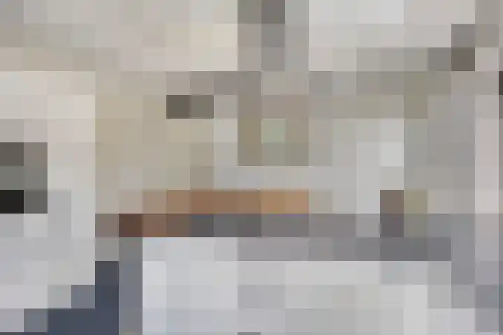Sprookjesbosch 91 Eindhoven thumbnail 19