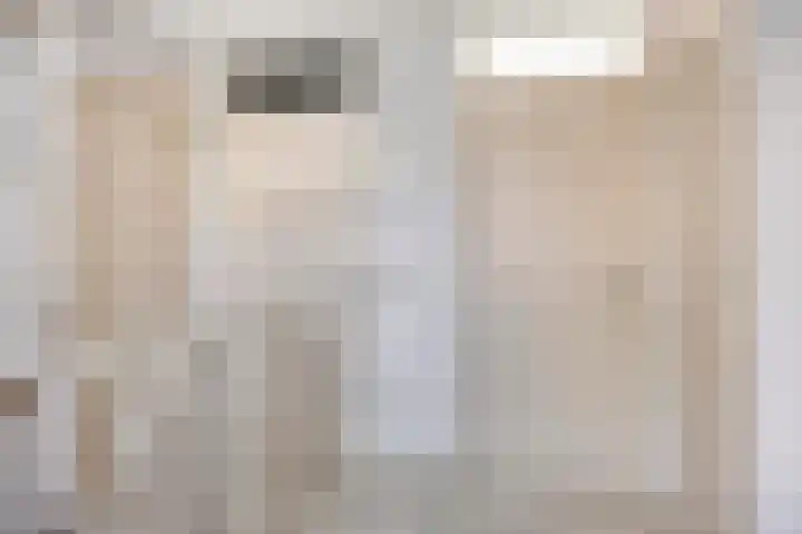 Sprookjesbosch 91 Eindhoven thumbnail 27