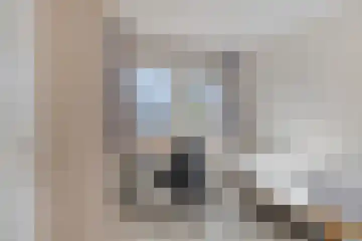 Sprookjesbosch 91 Eindhoven thumbnail 31