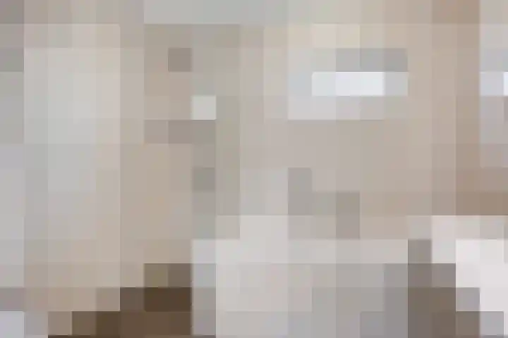 Sprookjesbosch 91 Eindhoven thumbnail 33