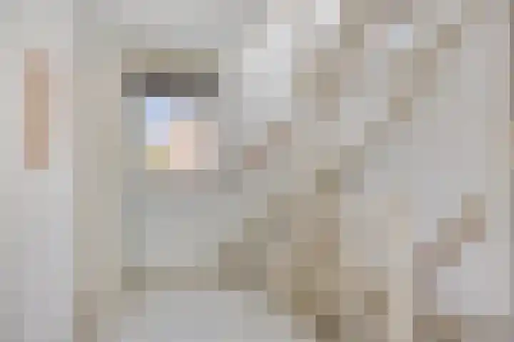 Sprookjesbosch 91 Eindhoven thumbnail 37