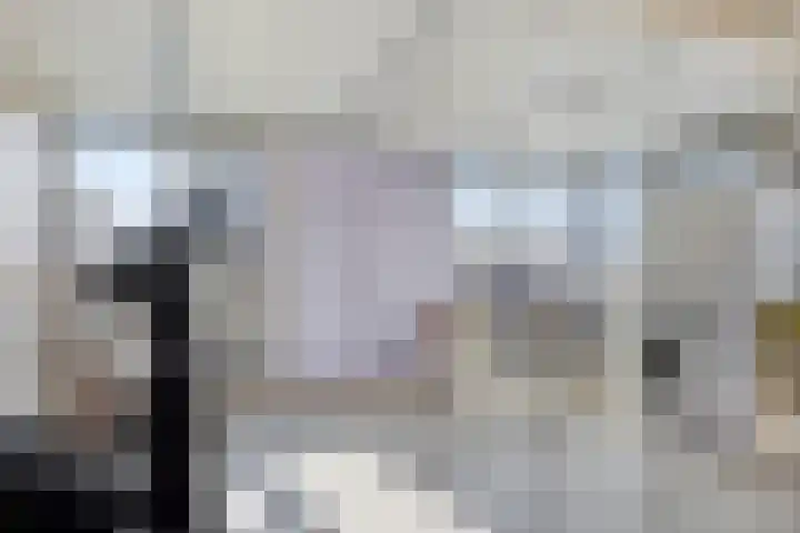 Sprookjesbosch 91 Eindhoven thumbnail 39