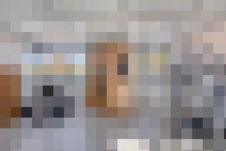 Sprookjesbosch 91 Eindhoven thumbnail 40