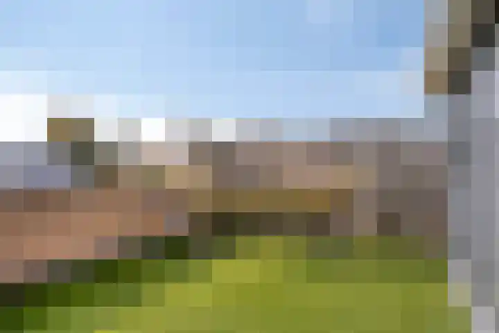 Sprookjesbosch 91 Eindhoven thumbnail 41