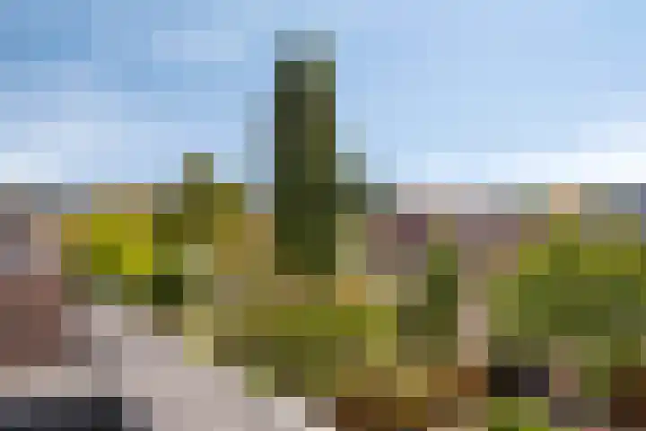 Sprookjesbosch 91 Eindhoven thumbnail 44