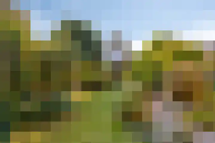 Sprookjesbosch 91 Eindhoven thumbnail 45