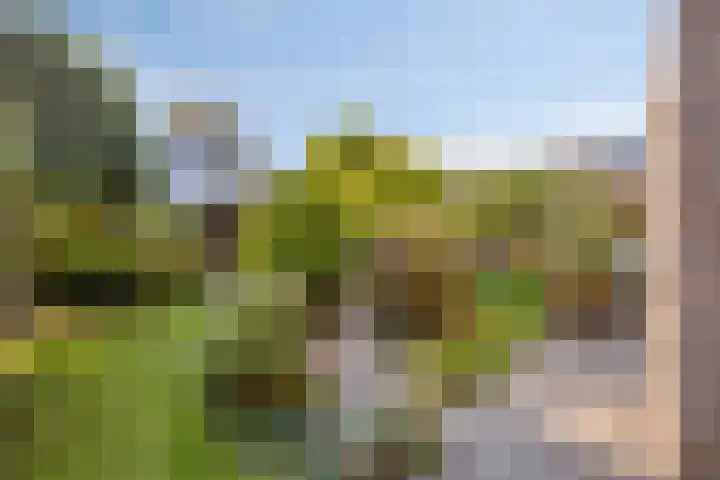 Sprookjesbosch 91 Eindhoven thumbnail 46