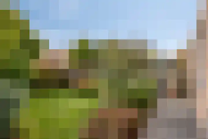 Sprookjesbosch 91 Eindhoven thumbnail 48