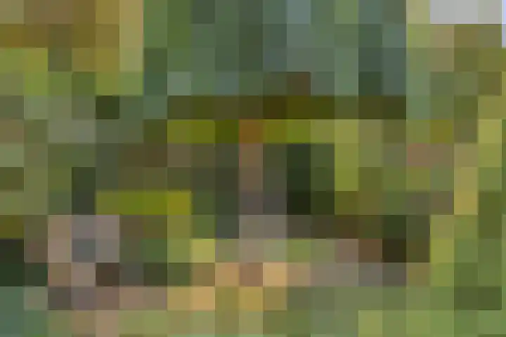 Sprookjesbosch 91 Eindhoven thumbnail 49
