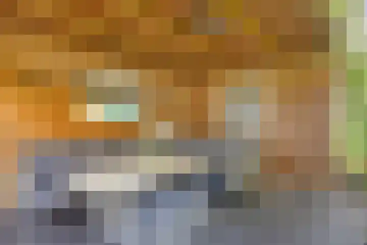 Sprookjesbosch 91 Eindhoven thumbnail 50