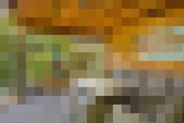 Sprookjesbosch 91 Eindhoven thumbnail 51