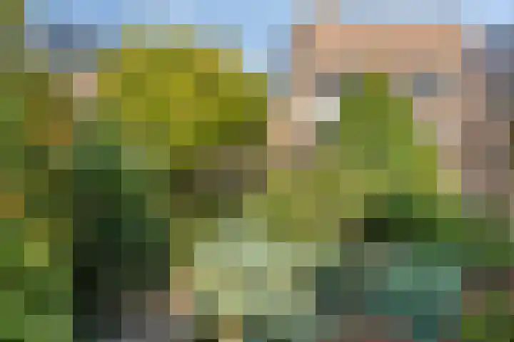 Sprookjesbosch 91 Eindhoven thumbnail 52