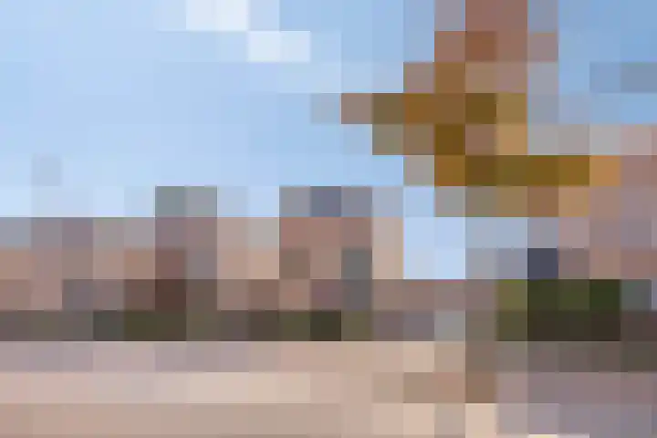Sprookjesbosch 91 Eindhoven thumbnail 56