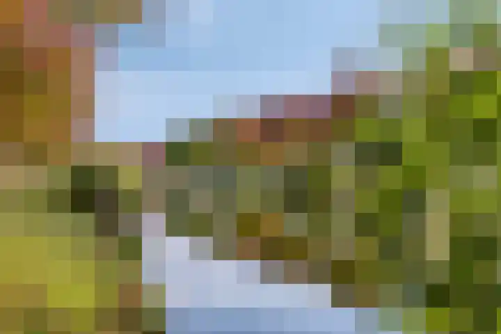 Sprookjesbosch 91 Eindhoven thumbnail 57