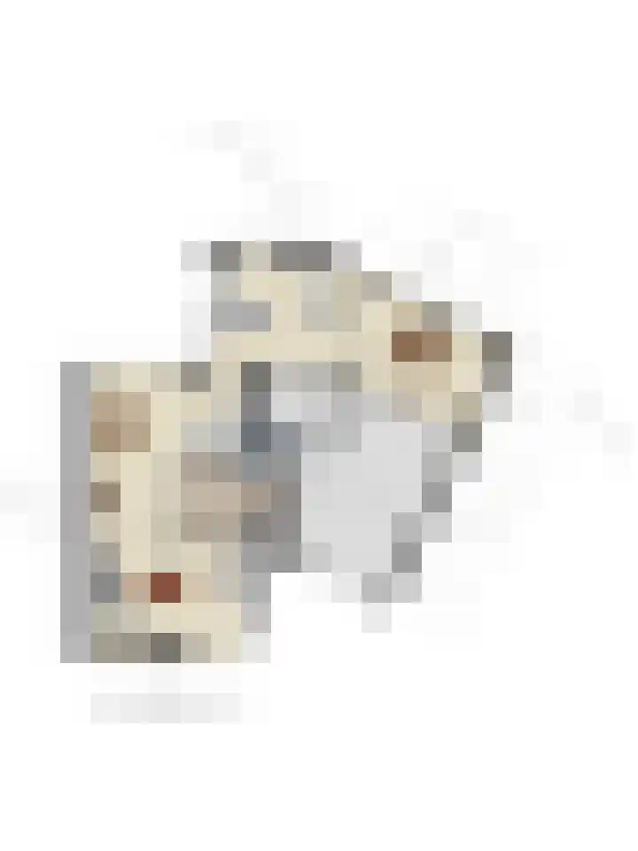 Sprookjesbosch 91 Eindhoven thumbnail 59