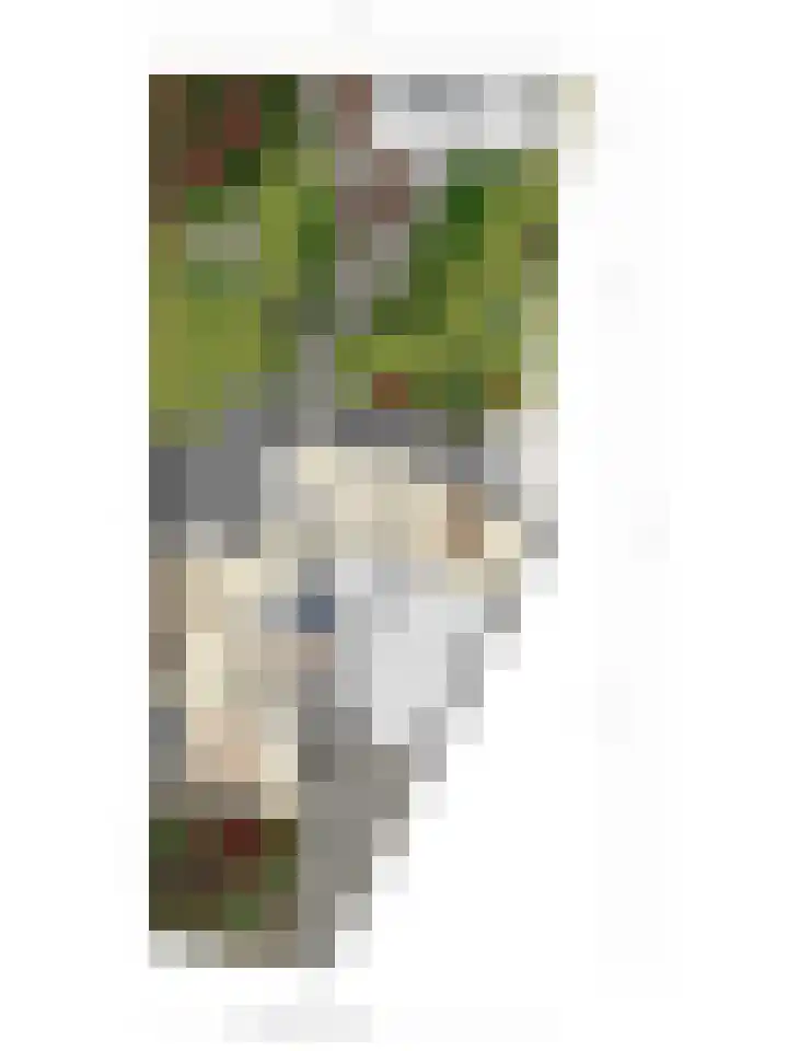 Sprookjesbosch 91 Eindhoven thumbnail 61