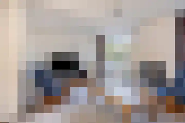 Sprookjesbosch 91 Eindhoven thumbnail 7