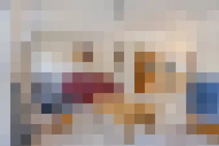 Sprookjesbosch 91 Eindhoven thumbnail 9