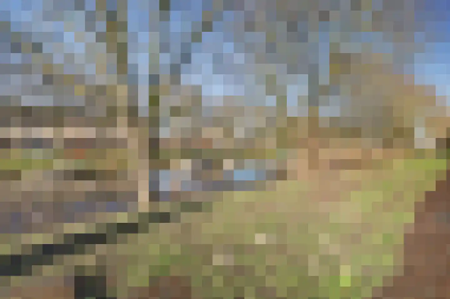 Sprotstraat 2 Almere thumbnail 34