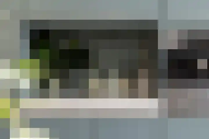 Spruitenbosstraat 3 Haarlem thumbnail 12