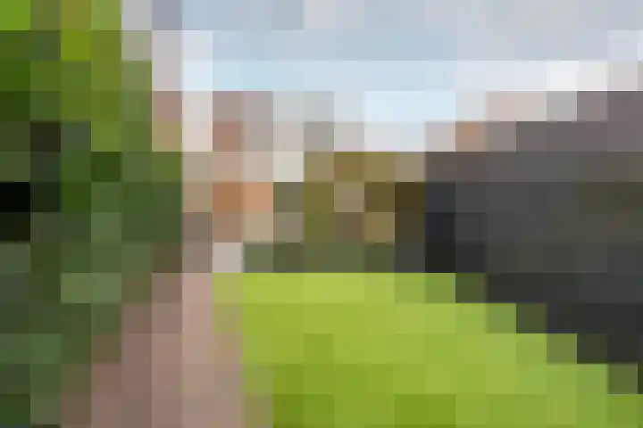 Spruitenbosstraat 3 Haarlem thumbnail 14