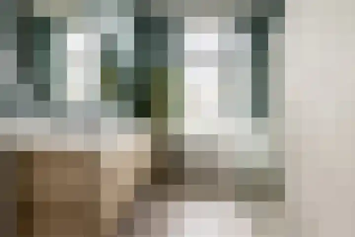 Spruitenbosstraat 3 Haarlem thumbnail 34
