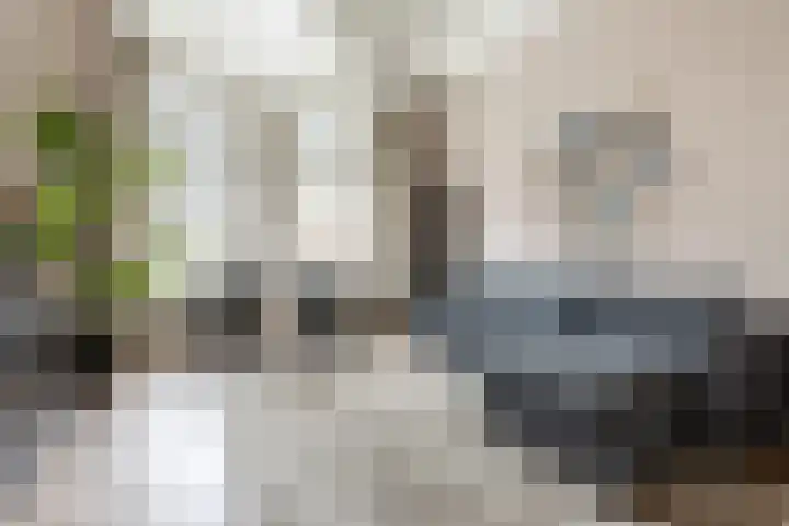 Spruitenbosstraat 3 Haarlem thumbnail 37