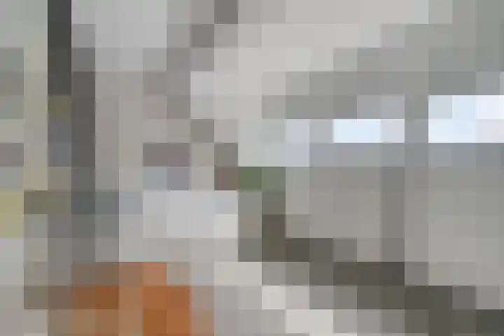 Spruitstraat 22 Yerseke thumbnail 26
