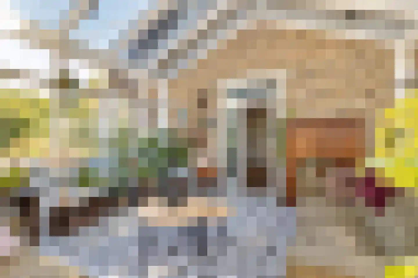Sprundelsebaan 336 Etten-Leur thumbnail 16