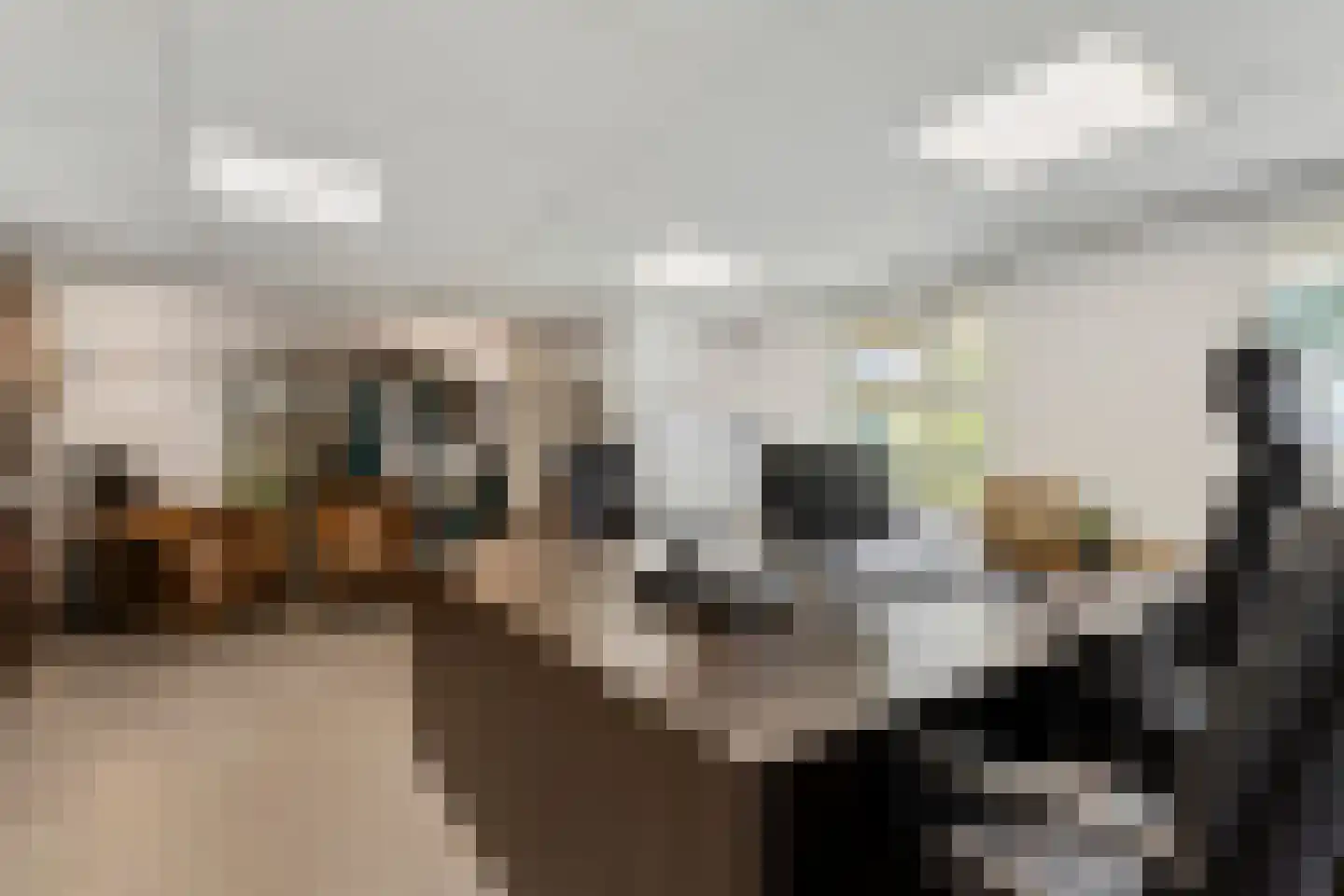 Sprundelsebaan 336 Etten-Leur thumbnail 29