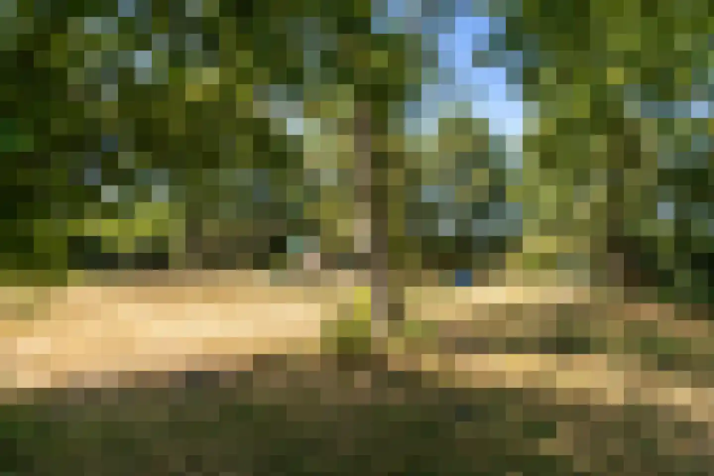 Sprundelsebaan 336 Etten-Leur thumbnail 34