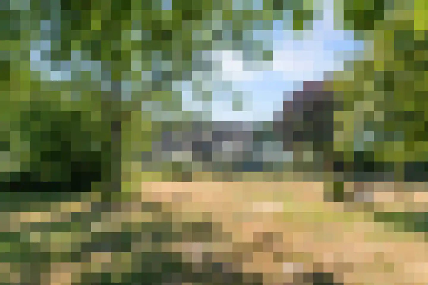 Sprundelsebaan 336 Etten-Leur thumbnail 35