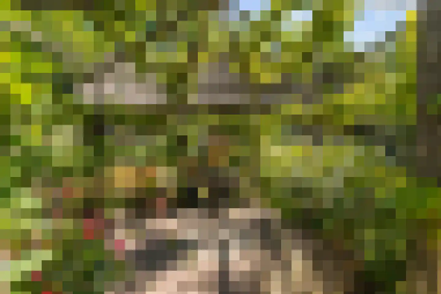 Sprundelsebaan 336 Etten-Leur thumbnail 36