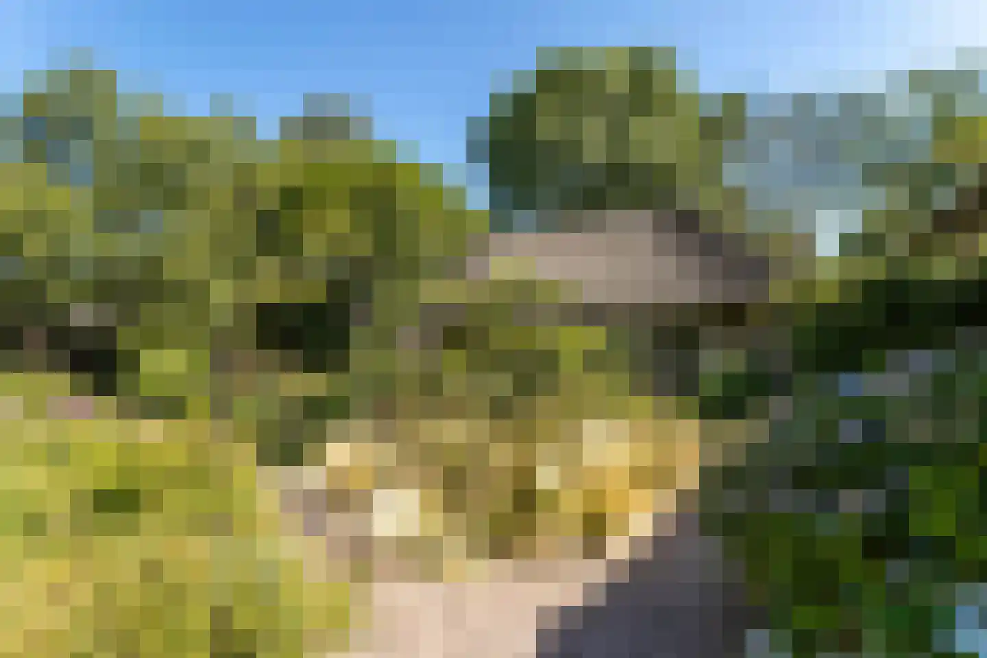 Sprundelsebaan 336 Etten-Leur thumbnail 37